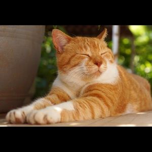 Meet your Posher, Hope